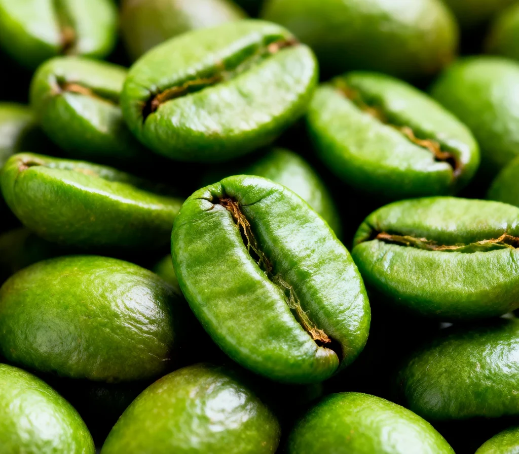 Green Coffee caffeine extract — natural energy ingredient in Memocept without jitters