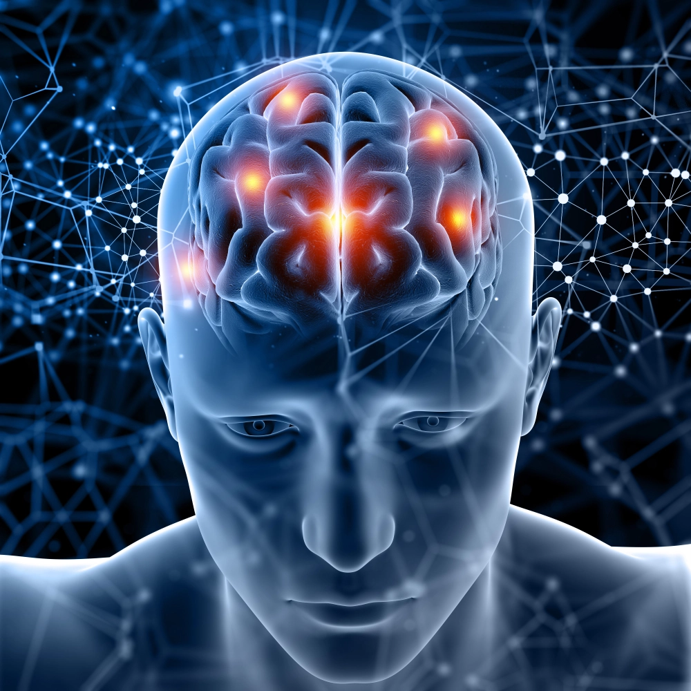 Brain with memory enhancement — Memocept improves recall and retention